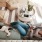 overhead view of  a woman texting as she lies on a couch with a dog at her feet